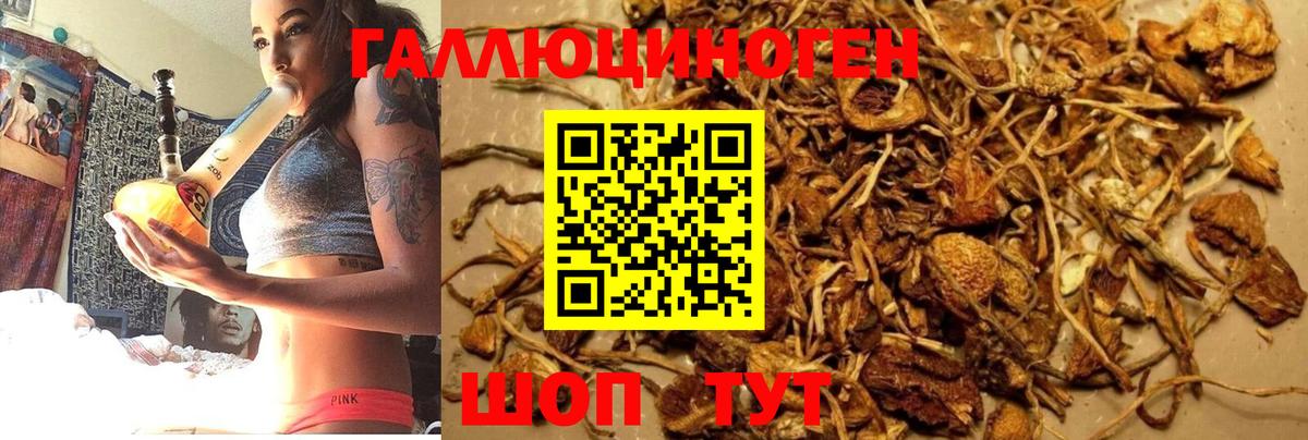 Галлюциногенные грибы Magic Shrooms Старая Купавна